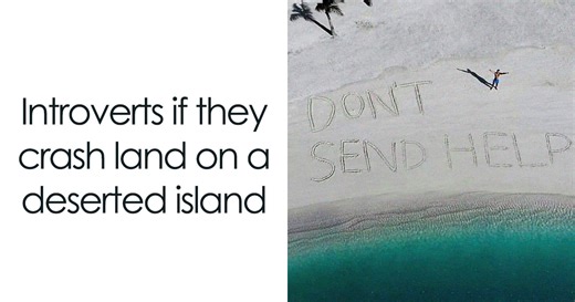 79 Silly Memes That Feel Suspiciously Relatable
