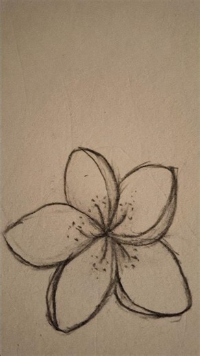 How to Draw a Realistic Flower Step-by-Step ✏️ 🌸 #Shorts #art #astheticflowers #beginnerarttips