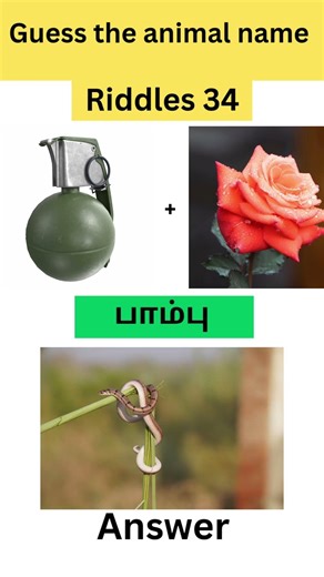 Guess the 1animal name in 10 Second 34