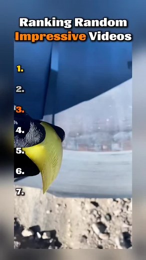 18K reactions · 192 shares | No words. Just pure skill and chaos. These videos are on another level!  What's the craziest thing you've ever seen someone do? ​#CrazySkills #ImpressiveMoments #TopVideos #Ranking #Challenge #JawDropping #ReelsViral | Epioments19 | Facebook