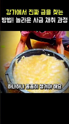 강가에서 진짜 금을 찾는 방법! 놀라운 사금 채취 과정 #금채취 #전통방식