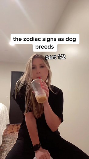 Discover Your Dog's Zodiac Sign and Astrology Traits