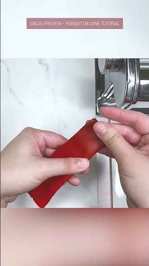 Poinsettia Clay Cane (Sneak Preview Part 1) | Polymer Clay Cane Tutorial | Flower Cane #shorts