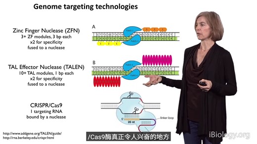 从细菌重复序列到基因编辑革命：诺奖得主Jennifer Doudna亲述CRISPR-Cas9发现之路——如何从细菌获得性免疫系统挖掘出可编程DNA切割工具