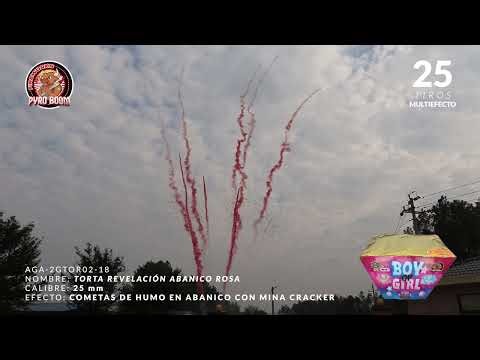 TORTA REVELACIÓN ABANICO ROSA / 25 SHOTS 🩷