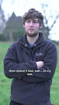 A cabin perched in the heart of the vegetation