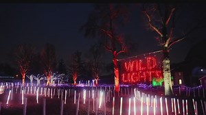 Wild Nights returns to the Detroit Zoo
