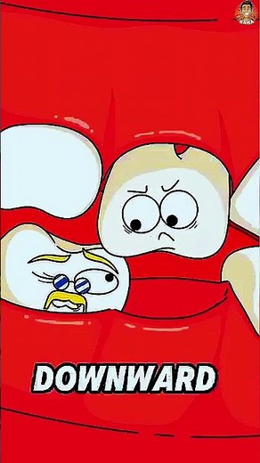 What Happens When You Lose One Tooth? 🦷 (The Domino Effect Explained)