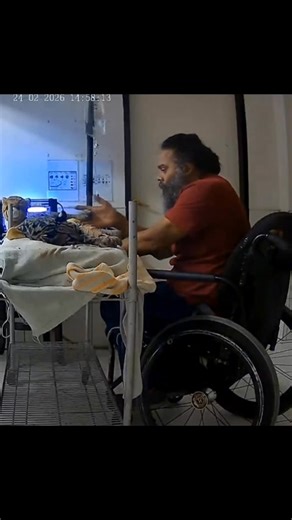 WOUNDED OCELOT IN GOOD HANDS Animal lovers can breathe a sigh of relief as the ocelot that suffered a gunshot wound over the weekend shows signs of significant improvement. Veterinarian Dr. Kriyaan Singh of the La Romain Veterinary Clinic, who has been providing care for the injured wild cat, said this marks the fourth ocelot with gunshot injuries treated at his clinic this year. The ocelot was found in a forested area in Granville, Cedros, with a large wound on its neck and several porcupine qu