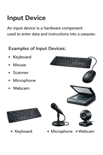 Input devices in a computer. #education #computereducation #learning #computer #exam