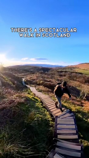 📍Greenock Cut Boardwalk A spectacular walk through a nature trail through Shielhill glen with majority of the walk along the river over boardwalks. This must of been one of the most peaceful walks this year and can only imagine what it looks like throughout the different seasons. I recommend checking the opening times for the visitor centre as they will provide lots of useful information and a check list to find the 12 wood spirits. @clydemuirshiel #walkhighlands #scotland #visitscotland #explo