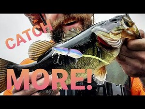 SPRO BBZ-1 Rat 25 Swimbait gets CRUSHED: Subsurface Rat Bass and Pickerel Fishing