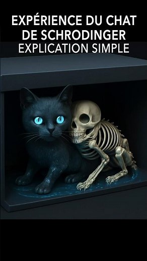 A Dead or Alive Quantum Cat? #physics #science #scienceeducation