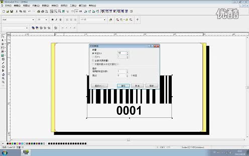 NiceLabel Pro 3流水号