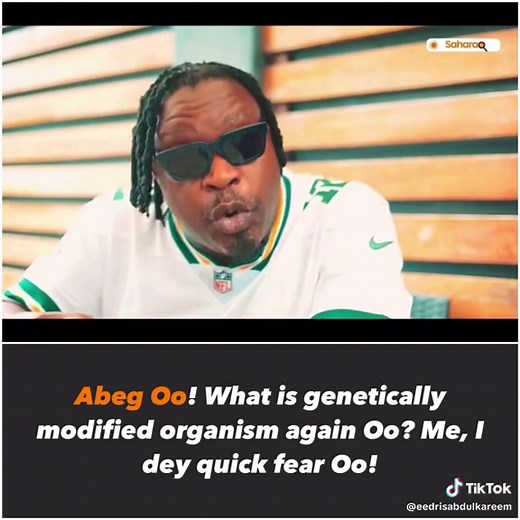 Genetically Modified Foods and Health Concerns