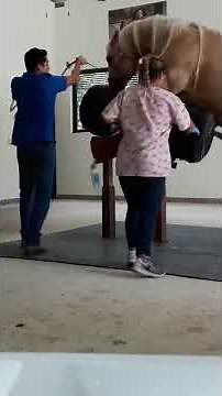 Colecta de semen equino