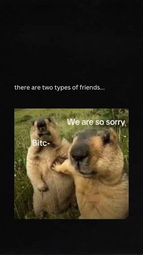 Two Types of Friends