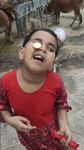 Ultimate EPIC CRAZY Biscuit Eating Challenge 🍪🔥 | Too Funny to Handle!