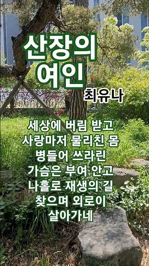산장의 여인 #최유나#권혜경#트로트#1957권혜경 인생곡