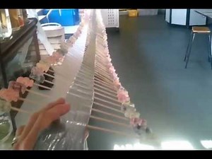 Mr Riddell's Jellybaby wave machine.