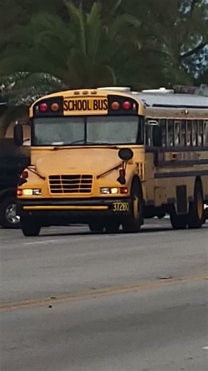 Miami-Dade Blue Bird Vision School buses