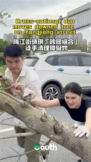 #Yangjiang | As Super Typhoon Ragasa swept through Yangjiang, #Guangdong, uprooted trees blocked the roads. A girl from #Georgia 🇬🇪 and a local guy 👫 bent down together to move the downed tree, showing unity in adversity! 🌳➡️🚶‍♂️🚶‍♀️ Salute to all those fighting on the front lines of disaster-relief efforts! 💪🙏 You’re our heroes! 🌟 https://www.newsgd.com/node_d36b0ef83f/8198a46590.shtml #TyphoonHeroes #DisasterRelief #UnityInAdversity #YangjiangStrong 🌪️❤️ | The South