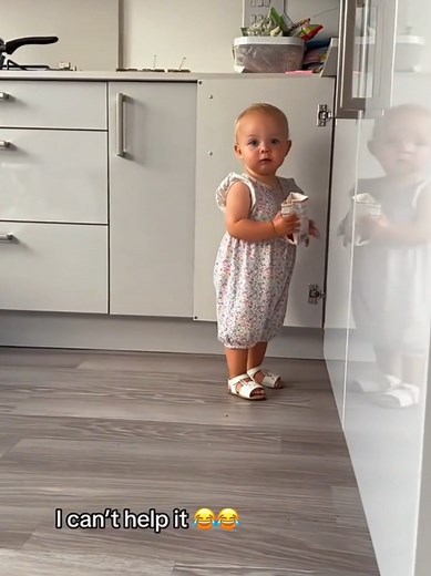 Adorable Tiny Thief Caught Red-Handed!