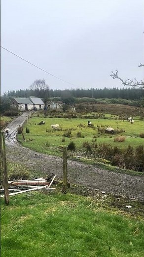 More Derelict Irish House Viewings today!