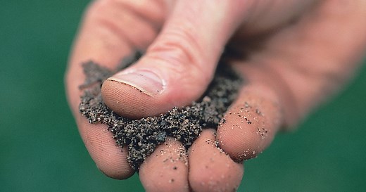 Find out your soil type