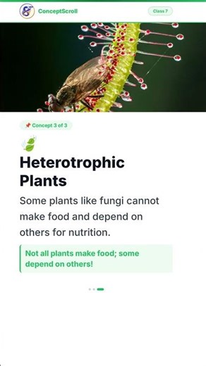 Nutrition in Plants, Class 7 Science | Chapter 1 | Class 7 Biology | NCERT | ConceptScroll 📚 #Shorts