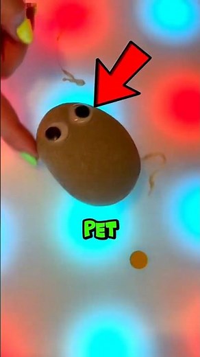 This Rock Was Sold As a Pet... and It Worked!