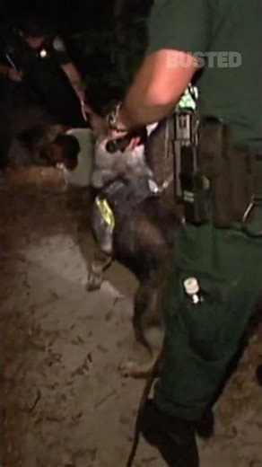 🐕😳 Did That Police Dog Just Talk?! #shorts