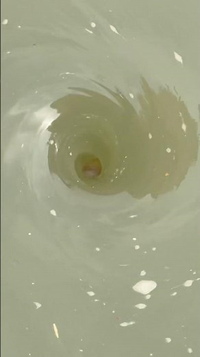 Complete formation and deformation of vortex due to suction pressure diff of gates