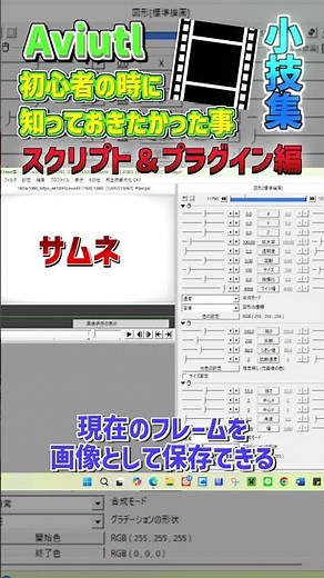 Part2 AviUtl初心者の時に知っておきたかった事スクリプト&プラグイン編 #aviutl