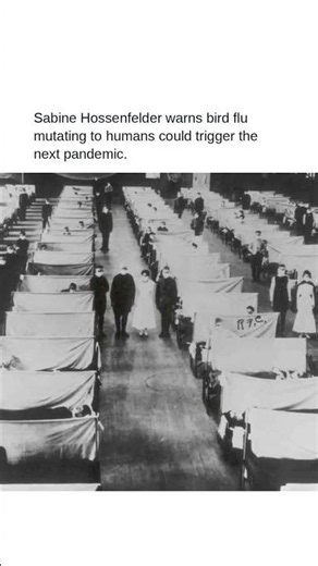 Sabine Hossenfelder warns bird flu mutating to humans could trigger the next pandemic.
