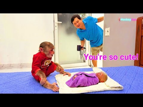 Monkey Kyo secretly helps the little monkey...So cute! 💕