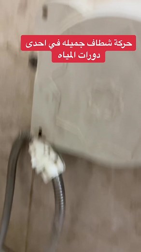 Showcasing a Flexible Showerhead with Coiled Hose