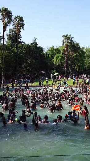 Wild Waters Borksburg 2024: Thrilling Water Slides & Fun in the Sun