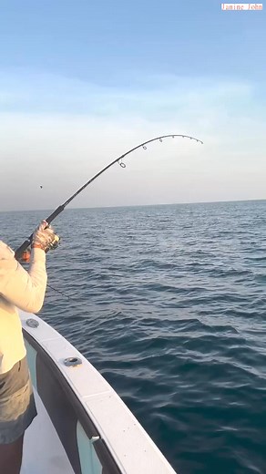 It is not a rare shot, it is repeated daily on our trips, but cameras rarely capture it, and nothing compares to the feeling you feel when it happens. | Janine John