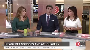3News' Lydia Esparra shares her pet's story in Ready Pet GO! Esparra shows us what happens inside a veterinary surgery room as her dog, Lady, undergoes an operation. Learn more at wkyc.com/pets. #SponsoredBy CrossCountry Mortgage, LLC. | WKYC Channel 3 - Cleveland