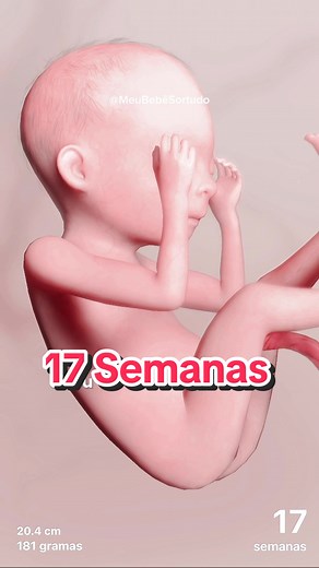 17 Semanas de Gravidez: O Que Esperar neste Período