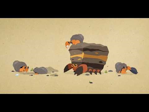 Pokémon Retro Revive: Dwebble Family Scientific Analysis