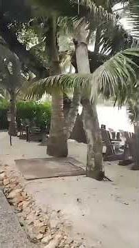 Ao Prao, Koh Samet | Thailand | Paradise Found