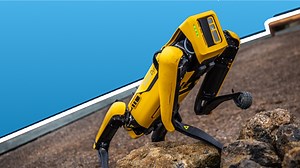 Hero robodog shot in the line of duty