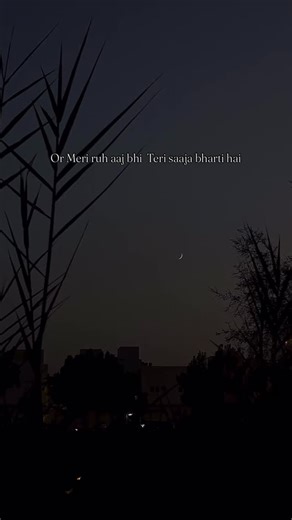 Surbha Meena on Instagram: "Just feel it ❤️‍🩹 #instagram #trending #reels #viral"