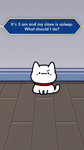 Tofu Cartoon Character Dilemma | Animated Cat Cartoon