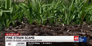 ‘We’ve got to get these guys out of town’: Decatur homeowner raises concerns over landscaping scam