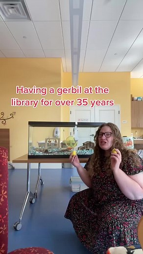 Creative Easter Egg Planting Ideas with Gerbils at the Reading Public Library