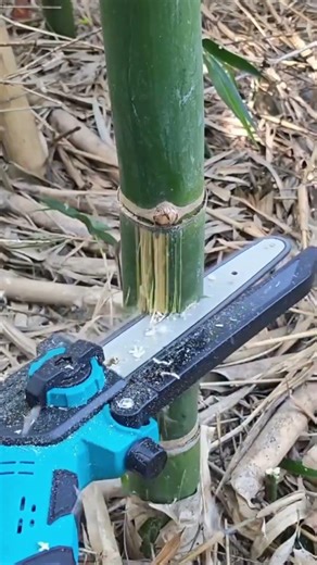 mini hand saw machine for cutting tree trunks #shorts