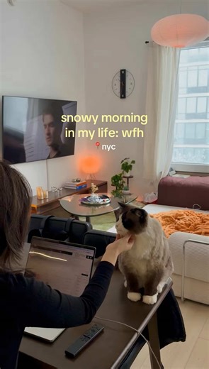 Blizzard Vibes: A Day in the Life in NYC